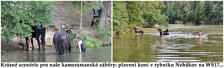 Scéna pro krásné záběry WorkShopistů: plavení koní Scéna pro krásné záběry WorkShopistů: plavení koní